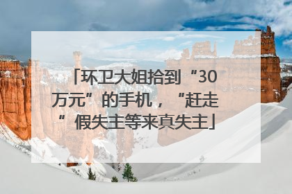 环卫大姐拾到“30万元”的手机，“赶走”假失主等来真失主