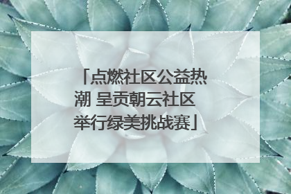 点燃社区公益热潮 呈贡朝云社区举行绿美挑战赛