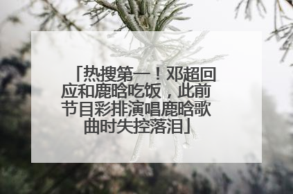 热搜第一！邓超回应和鹿晗吃饭，此前节目彩排演唱鹿晗歌曲时失控落泪
