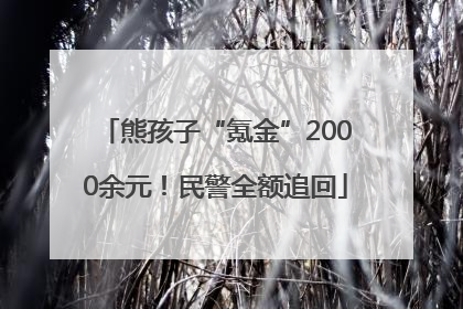 熊孩子“氪金”2000余元！民警全额追回