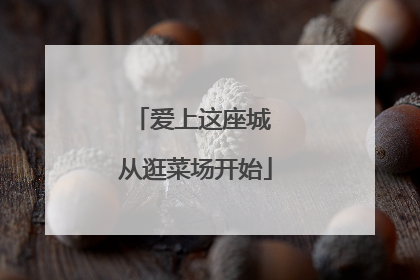 爱上这座城 从逛菜场开始