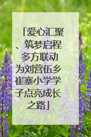爱心汇聚、筑梦启程 多方联动为刘营伍乡崔寨小学学子点亮成长之路