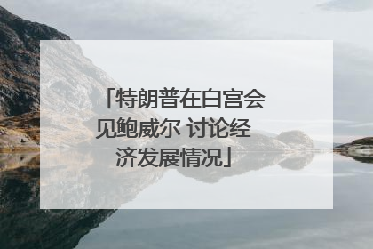 特朗普在白宫会见鲍威尔 讨论经济发展情况