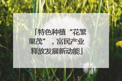 特色种植“花繁果茂”，富民产业释放发展新动能