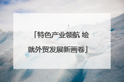 特色产业领航 绘就外贸发展新画卷