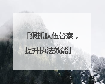 狠抓队伍督察，提升执法效能