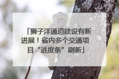 狮子洋通道建设有新进展！省内多个交通项目“进度条”刷新