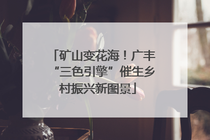 矿山变花海！广丰“三色引擎”催生乡村振兴新图景