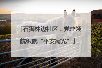 石狮林边社区：党建领航织就“平安霞光”