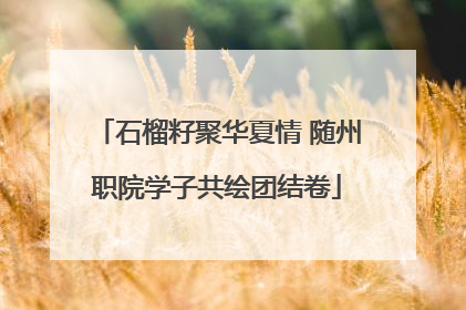 石榴籽聚华夏情 随州职院学子共绘团结卷