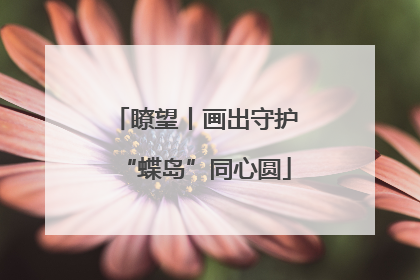 瞭望丨画出守护“蝶岛”同心圆