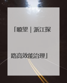 瞭望｜浙江探路高效能治理