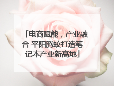 电商赋能，产业融合 平阳腾蛟打造笔记本产业新高地