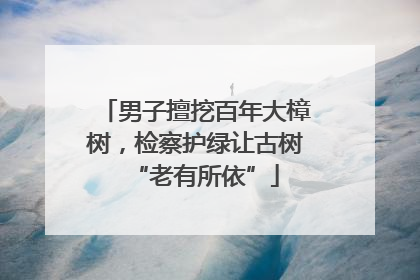 男子擅挖百年大樟树，检察护绿让古树“老有所依”