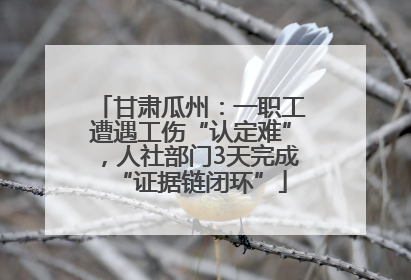 甘肃瓜州：一职工遭遇工伤“认定难”，人社部门3天完成“证据链闭环”