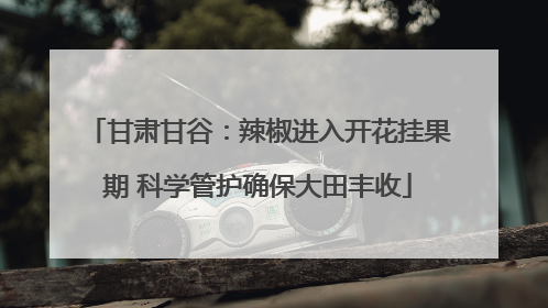 甘肃甘谷：辣椒进入开花挂果期 科学管护确保大田丰收