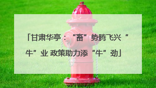 甘肃华亭：“畜”势腾飞兴“牛”业 政策助力添“牛”劲