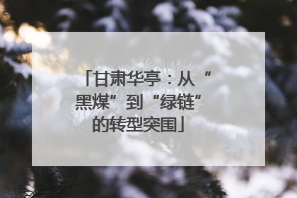甘肃华亭：从“黑煤”到“绿链”的转型突围