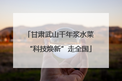 甘肃武山千年浆水菜“科技焕新”走全国