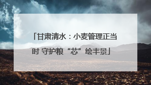 甘肃清水：小麦管理正当时 守护粮“芯”绘丰景