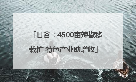甘谷：4500亩辣椒移栽忙 特色产业助增收