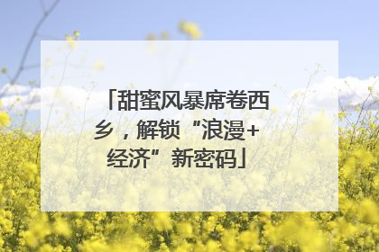 甜蜜风暴席卷西乡，解锁“浪漫+经济”新密码