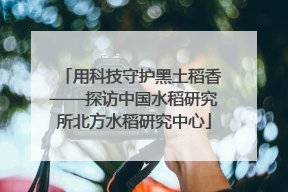 用科技守护黑土稻香——探访中国水稻研究所北方水稻研究中心