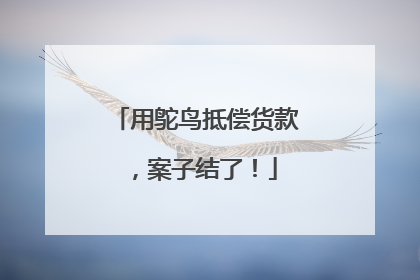 用鸵鸟抵偿货款，案子结了！
