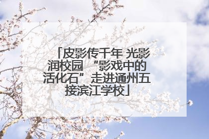 皮影传千年 光影润校园 “影戏中的活化石”走进通州五接滨江学校