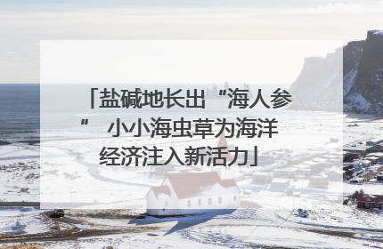 盐碱地长出“海人参” 小小海虫草为海洋经济注入新活力