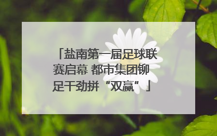 盐南第一届足球联赛启幕 都市集团铆足干劲拼“双赢”