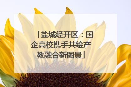 盐城经开区：国企高校携手共绘产教融合新图景