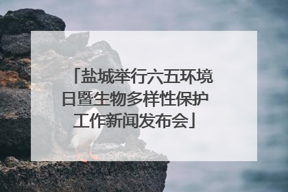 盐城举行六五环境日暨生物多样性保护工作新闻发布会
