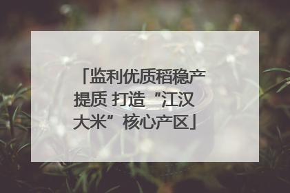 监利优质稻稳产提质 打造“江汉大米”核心产区