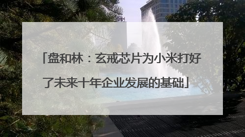 盘和林：玄戒芯片为小米打好了未来十年企业发展的基础