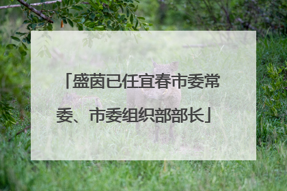 盛茵已任宜春市委常委、市委组织部部长