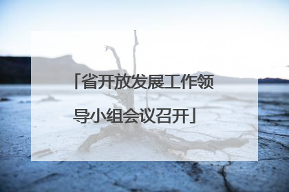 省开放发展工作领导小组会议召开