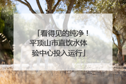 看得见的纯净！平顶山市直饮水体验中心投入运行