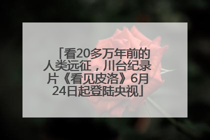 看20多万年前的人类远征，川台纪录片《看见皮洛》6月24日起登陆央视