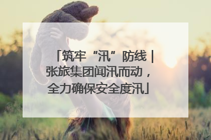 筑牢“汛”防线｜张旅集团闻汛而动，全力确保安全度汛