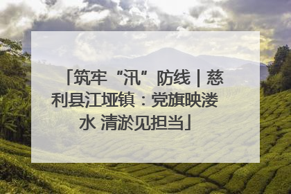 筑牢“汛”防线｜慈利县江垭镇：党旗映溇水 清淤见担当
