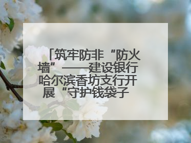 筑牢防非“防火墙”——建设银行哈尔滨香坊支行开展“守护钱袋子 护好幸福家”集中宣传日活动