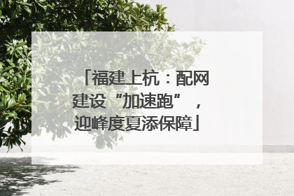 福建上杭：配网建设“加速跑”，迎峰度夏添保障