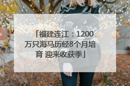 福建连江：1200万只海马历经8个月培育 迎来收获季