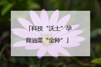 科技“沃土”孕育油菜“金种”