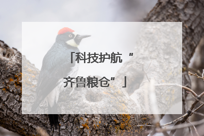 科技护航“齐鲁粮仓”