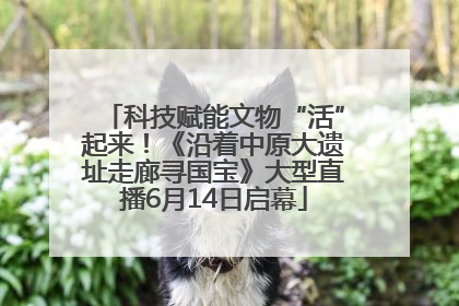 科技赋能文物“活”起来！《沿着中原大遗址走廊寻国宝》大型直播6月14日启幕
