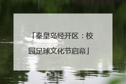 秦皇岛经开区：校园足球文化节启幕