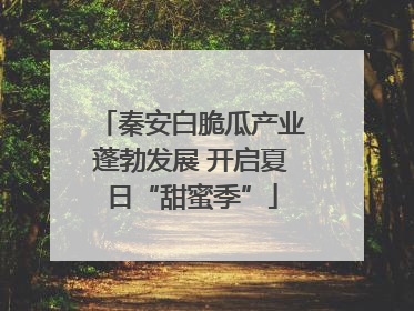 秦安白脆瓜产业蓬勃发展 开启夏日“甜蜜季”