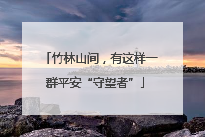 竹林山间，有这样一群平安“守望者”